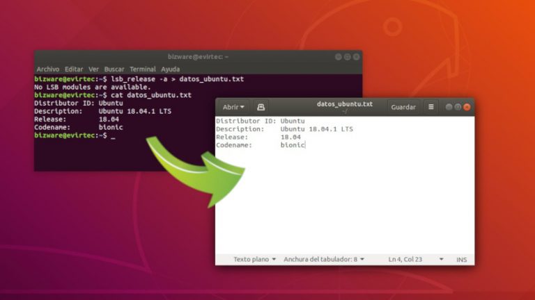 C Mo Guardar En Un Archivo La Salida Por Terminal En Ubuntu