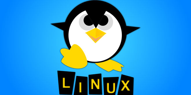 Photo of Acrónimos de Linux: qué son y para qué sirve cada uno
