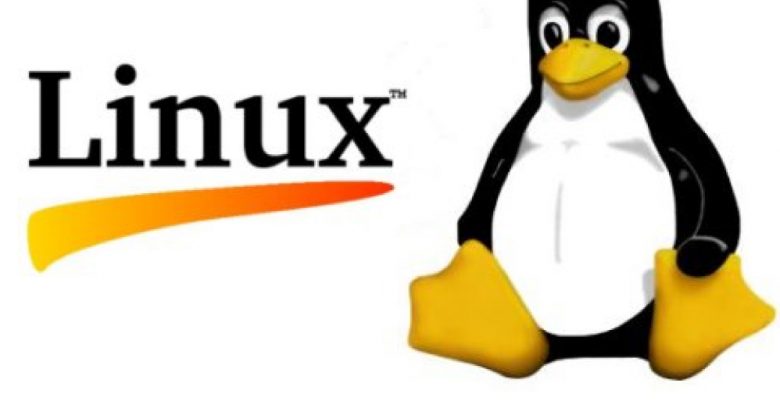 Photo of Lanzamiento oficial del Linux Kernel 5.1, esto es lo nuevo