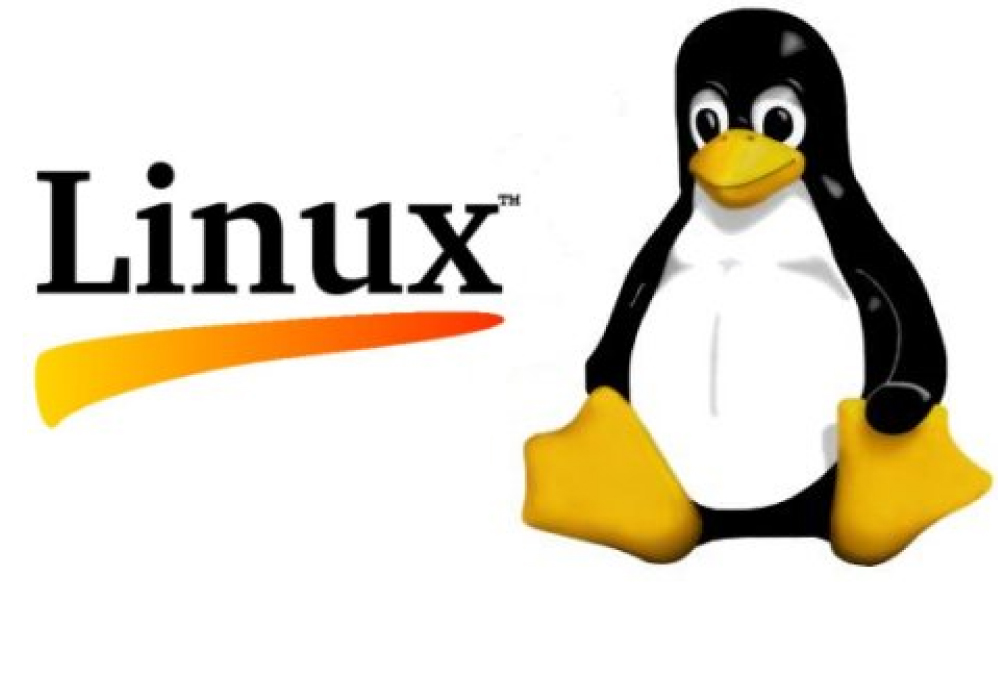 Linux 5.1