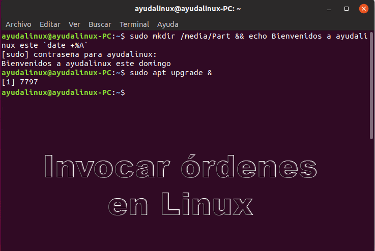 Invocar órdenes en Linux