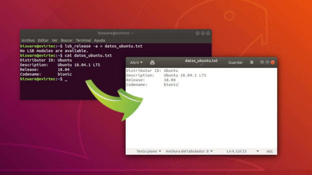 Turbulencia anchura Erradicar ▷ Cómo guardar en un archivo la salida por terminal en Ubuntu