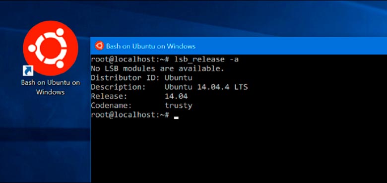 Como instalar la terminal de Ubuntu en Windows 10