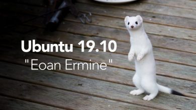 Photo of Ubuntu 19.10 Eoan Ermine es el nuevo nombre del popular SO de Linux