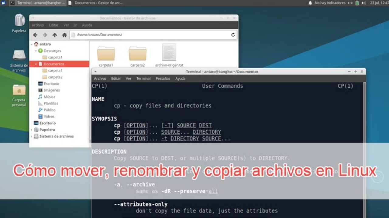 Recordar Santo Scully ▷ Cómo mover, renombrar y copiar archivos en Linux 🥇 PASO A PASO