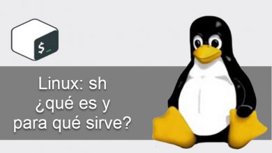 Photo of Linux sh ¿Qué es y para que sirve?