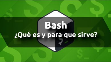 Photo of Bash shell: ¿Qué es y para que sirve?