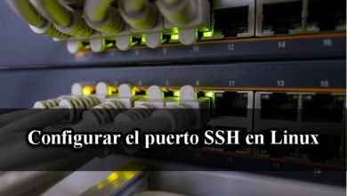 Photo of Cómo configurar el puerto SSH en Linux